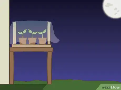 Image titled Harden Off Seedlings Step 7