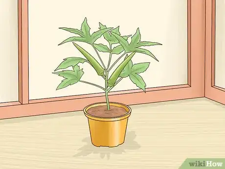 Image titled Grow in a Greenhouse Step 4