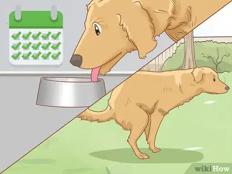 Image titled Stop a Dog from Pawing Step 8