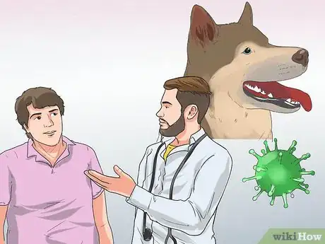 Image titled Diagnose Autoimmune Disorders in Siberian Huskies Step 5