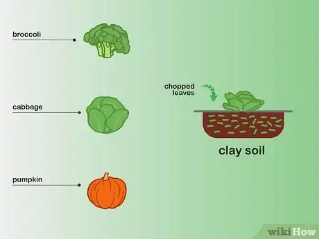 Image titled Choose Vegetables to Grow Step 09