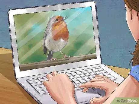 Image titled Be a Birdwatcher Step 1