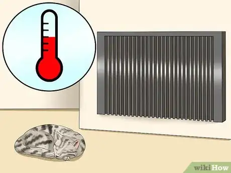 Image titled Care for Egyptian Maus Step 13