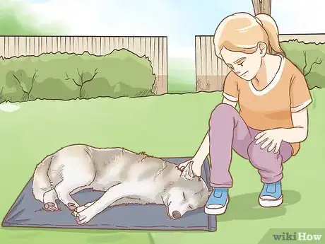 Image titled Treat a Dog for Snakebite in Australia Step 3