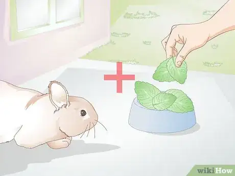 Image titled Care for Disabled Rabbits Step 10