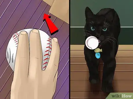 Image titled Prevent an Energetic Kitten from Hurting Itself Step 9