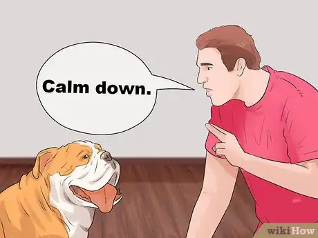 Image titled Be Intimate with Your Partner when You Have a Protective Dog Step 2