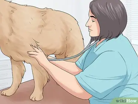 Image titled Check the Health of a New Dog Step 4