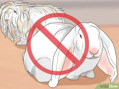 Image titled Choose a Pet Rabbit Step 6