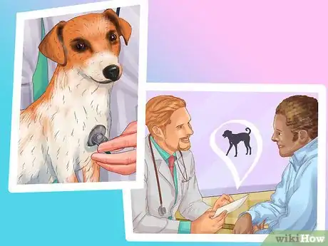 Image titled Diagnose Endocrine Disorders in Senior Dogs Step 6