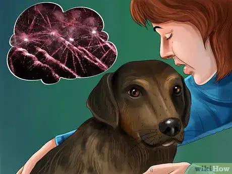Image titled Deal with Canine Noise Aversion Step 7