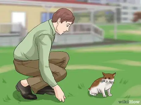 Image titled Approach an Injured Animal Step 6