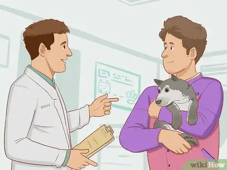 Image titled Treat an Insect Bite on a Dog Step 7