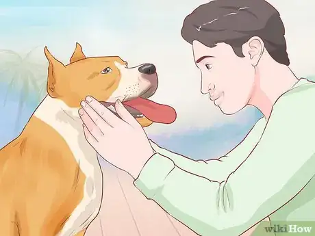 Image titled Groom Your Dog at Home Between Professional Groomings Step 6