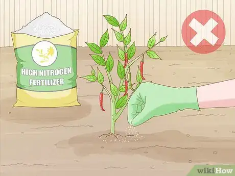 Image titled Grow Hotter Chillies Step 8