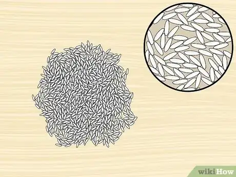 Image titled Identify a Rice Variety Step 7