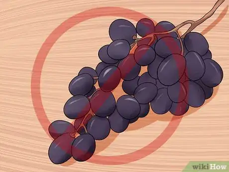 Image titled Solve Digestive Problems With Small Dogs Step 11