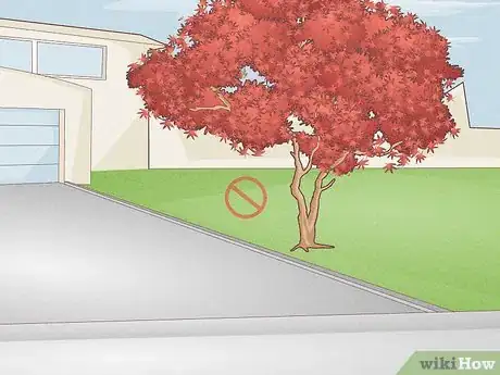 Image titled Plant Trees Near a Home without Damaging Your Foundation Step 6