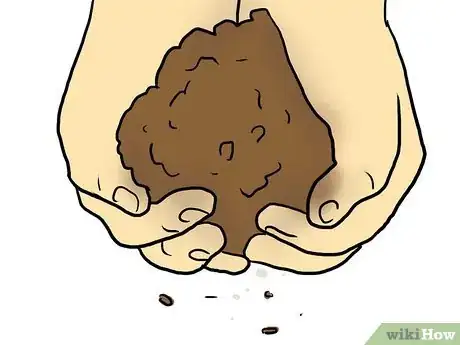 Image titled Plant Plumeria Seeds Step 2