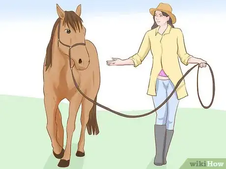 Image titled Do Basic Dressage Successfully Step 10