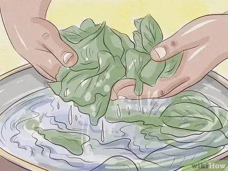 Image titled Clean Swiss Chard Step 4