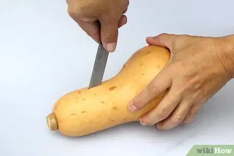 Image titled Cut Spaghetti Squash Step 1