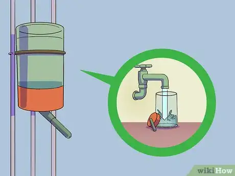 Image titled Feed a Gerbil Step 10