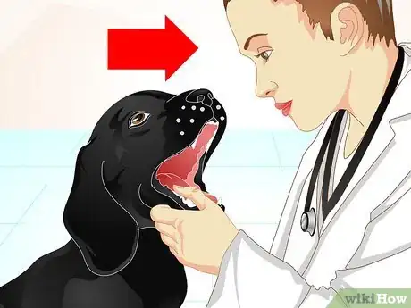 Image titled Firm Up Your Dog's Stool Step 13