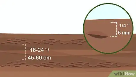 Image titled Grow Cress Step 3