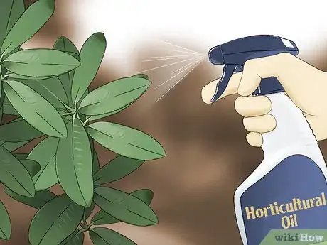 Image titled Control Lace Bugs in Your Flower Garden Step 3