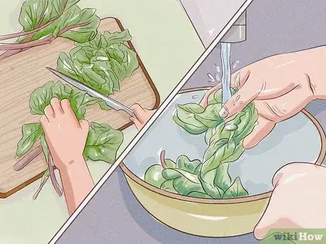Image titled Clean Swiss Chard Step 3