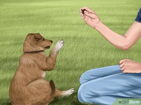 Image titled Set Ground Rules for Your Dog Step 5