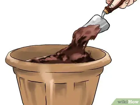 Image titled Grow Eggplants in Pots Step 17