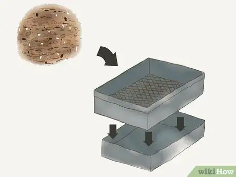 Image titled Grow Redwoods from Seed Step 3