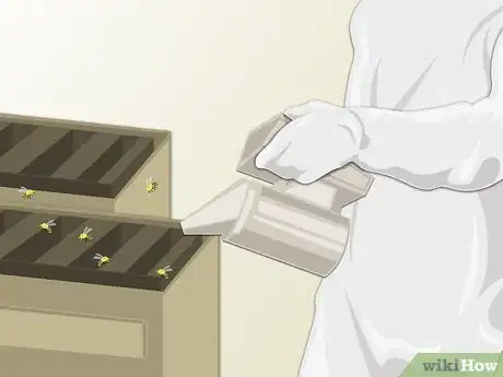 Image titled Harvest Honey Step 3