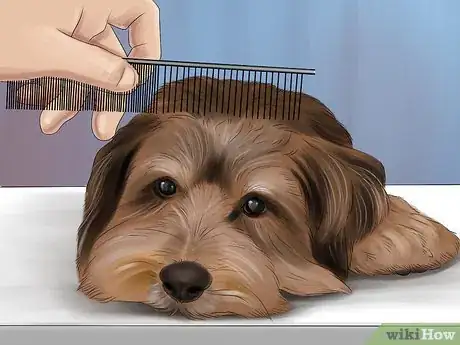 Image titled Know if You Are Ready for a Dog Step 41