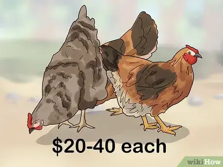 Image titled Rehome Your Chickens Step 5