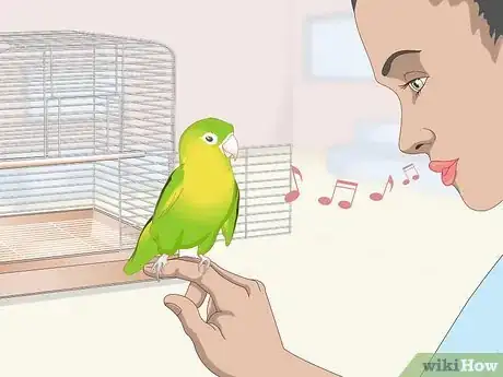 Image titled Teach a Parrotlet to Speak Step 1
