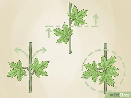 Image titled Identify a Houseplant Step 3