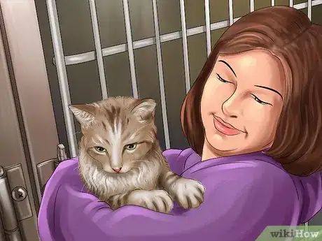 Image titled Adopt a Cat Through a Rescue Organization Step 5