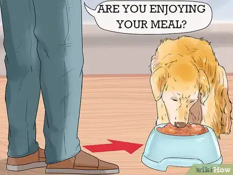 Image titled Get Your Dog to Stop Growling at You when Eating Step 2