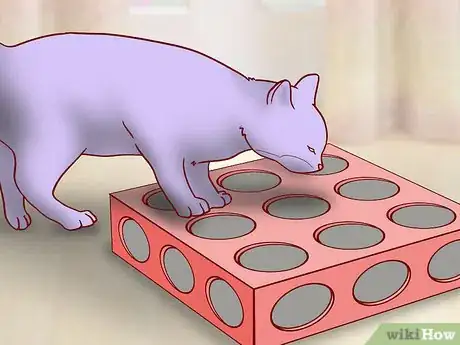 Image titled Get an Overweight Senior Cat to Lose Weight Step 7