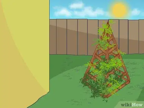 Image titled Build a Pyramid Trellis Step 9
