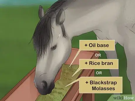 Image titled Give Your Horse the Right Supplements Step 9