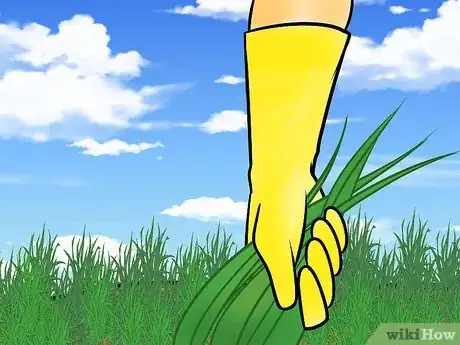 Image titled Restore a Native Prairie Step 2Bullet1