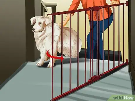 Image titled Introduce a Puppy to a Dog Step 14