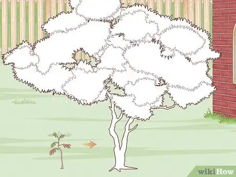 Image titled Plant Trees Near a Home without Damaging Your Foundation Step 4