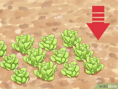 Image titled Keep Deer Out of a Garden Step 1