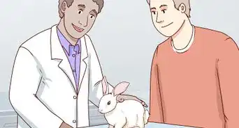 Keep Pet Rabbits Safe