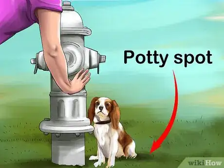 Image titled Housebreak a Dog with Positive Reinforcement Step 11